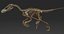Collezione Dino scheletro 20 in1