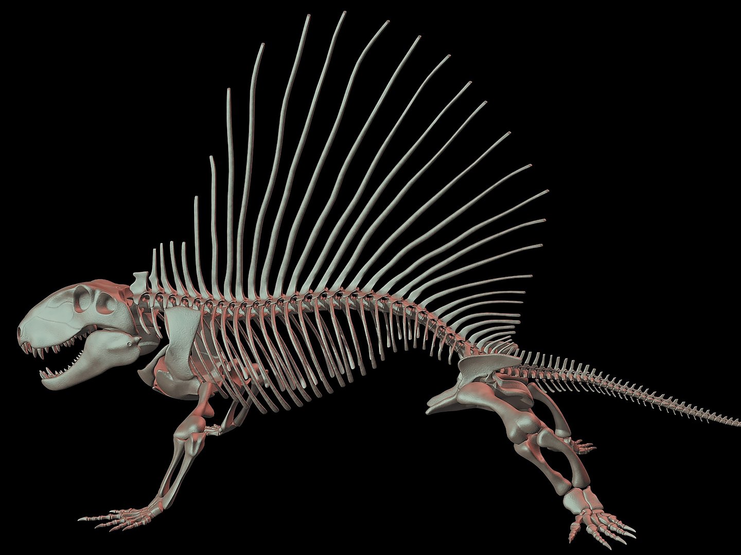 18 in1 dino skeleton model https://p.turbosquid.com/ts-thumb/6V/n9ziu7/GP/r023/jpg/1739636205/1920x1080/fit_q87/f393819e8b75ffbecffa94926e5fd91731d7dfb2/r023.jpg