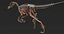 Collezione Dino scheletro 20 in1