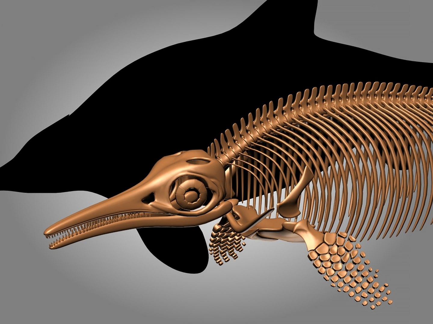 18 in1 dino skeleton model https://p.turbosquid.com/ts-thumb/6V/n9ziu7/IL/r033/jpg/1739636767/1920x1080/fit_q87/0d9e1bc515d824fbcceafb1c81cbbcbb9230c222/r033.jpg