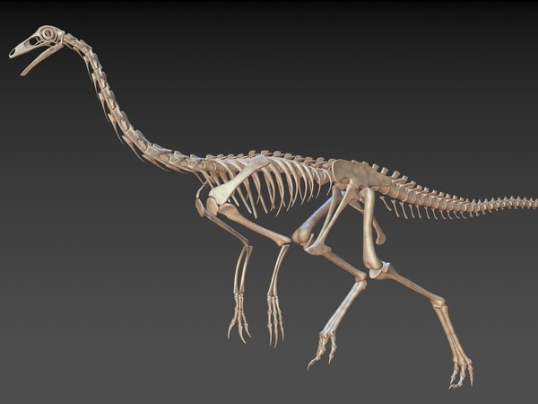 18 in1 dino skeleton model - TurboSquid 1228736