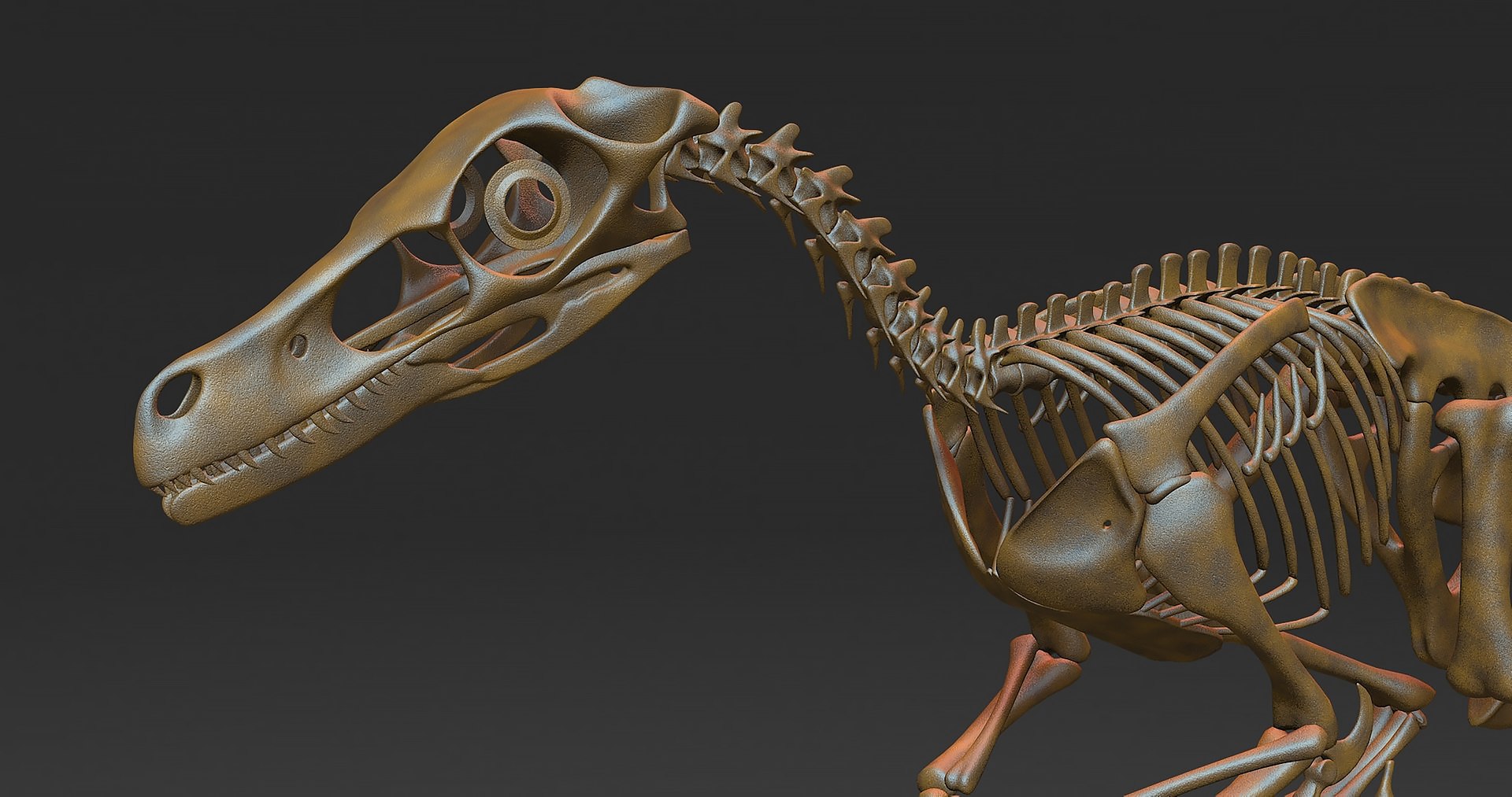 18 in1 dino skeleton model https://p.turbosquid.com/ts-thumb/6V/n9ziu7/JV/r046/jpg/1739636409/1920x1080/fit_q87/78f1fd060a237068959e2862e3d2dafa9433d582/r046.jpg