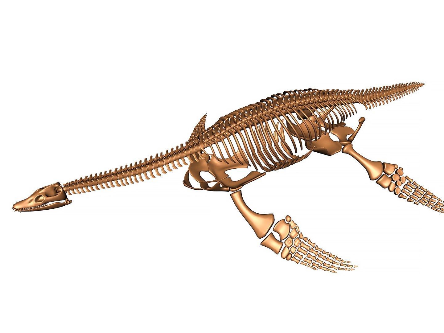 18 in1 dino skeleton model https://p.turbosquid.com/ts-thumb/6V/n9ziu7/KB/render02/jpg/1739636699/1920x1080/fit_q87/e3b6a206de4ebeb4843814ff57538f028062627e/render02.jpg