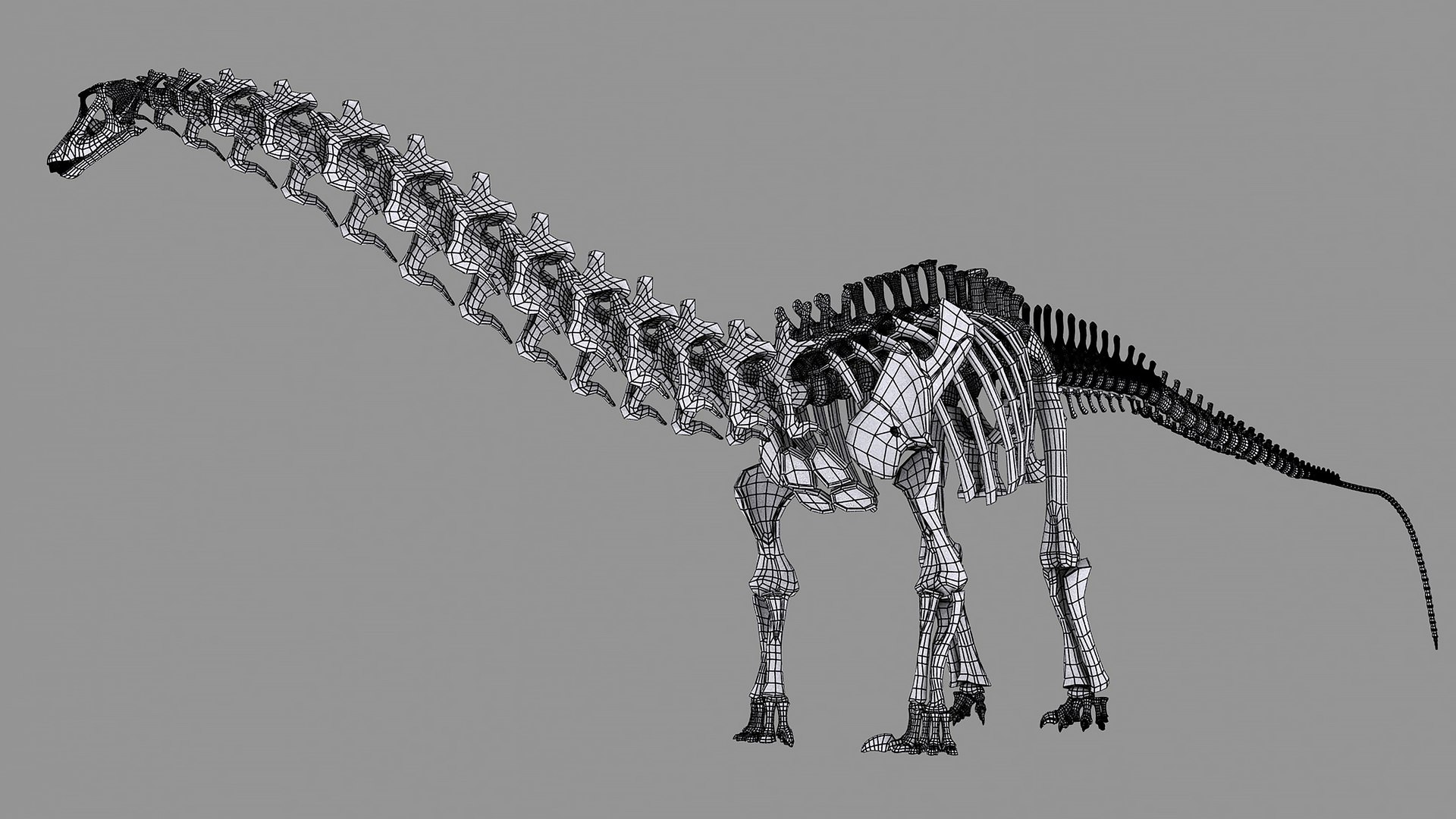 18 in1 dino skeleton model https://p.turbosquid.com/ts-thumb/6V/n9ziu7/KU/diplodocus08/jpg/1739636634/1920x1080/fit_q87/68a158d88bc56773eb97bf04db5f0ac0d4a9464c/diplodocus08.jpg