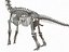 Collezione Dino scheletro 20 in1