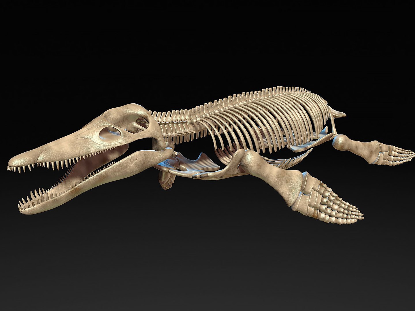 18 in1 dino skeleton model https://p.turbosquid.com/ts-thumb/6V/n9ziu7/Pm/r0111/jpg/1739636907/1920x1080/fit_q87/400509623b390c15d7d30eeb71e0a84008188d8b/r0111.jpg