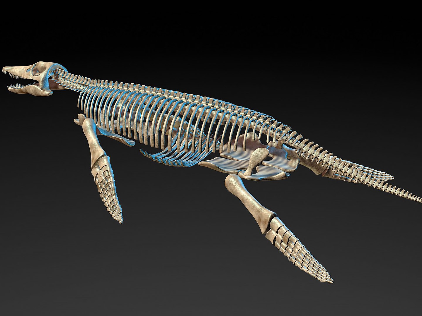18 in1 dino skeleton model https://p.turbosquid.com/ts-thumb/6V/n9ziu7/Ru/r0312/jpg/1739636907/1920x1080/fit_q87/d5d7946d41213a9af6414a1afcfbb091b3cfa6eb/r0312.jpg
