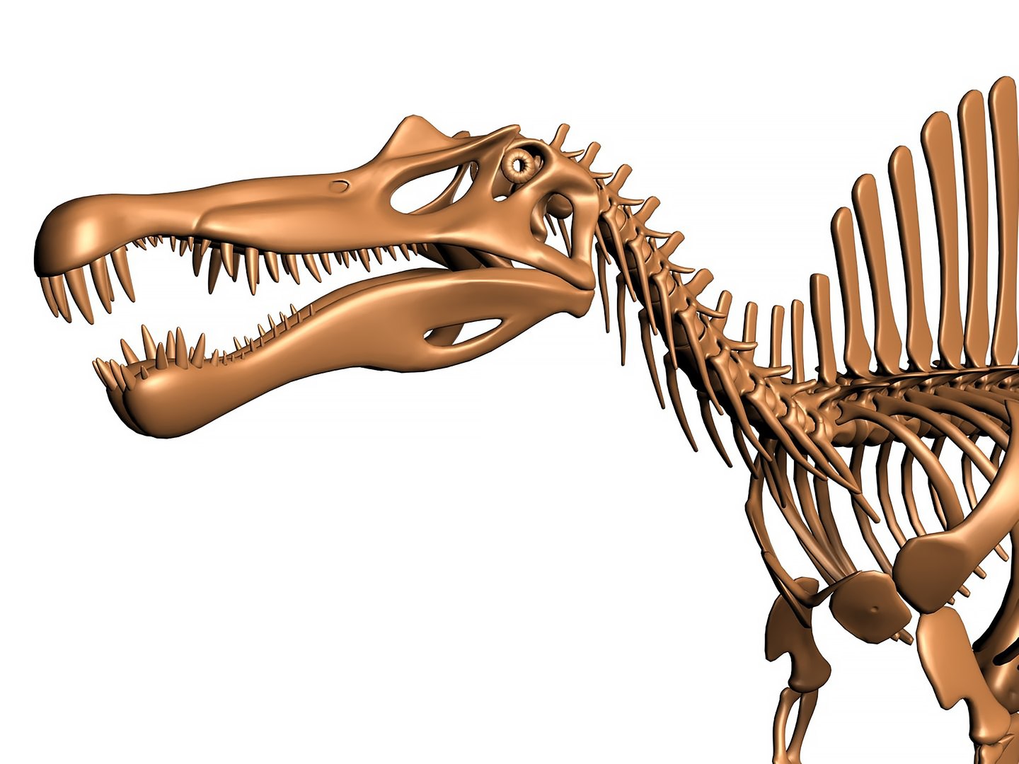 18 in1 dino skeleton model https://p.turbosquid.com/ts-thumb/6V/n9ziu7/S7/render04/jpg/1739636304/1920x1080/fit_q87/b73140949f58d4bf93c227e6ccfe80d5f65d3154/render04.jpg
