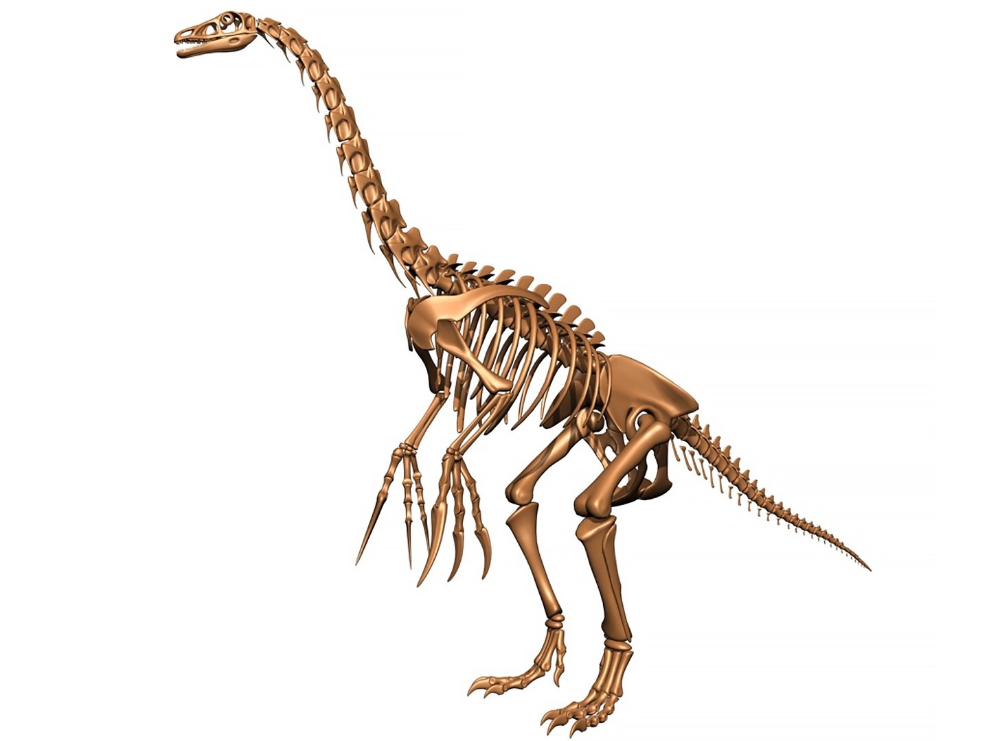 18 in1 dino skeleton model https://p.turbosquid.com/ts-thumb/6V/n9ziu7/SX/01/jpg/1739635978/1920x1080/fit_q87/f6daab4b6b83af0c9177c55ab59a9f230bb8a2c6/01.jpg