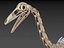 Collezione Dino scheletro 20 in1