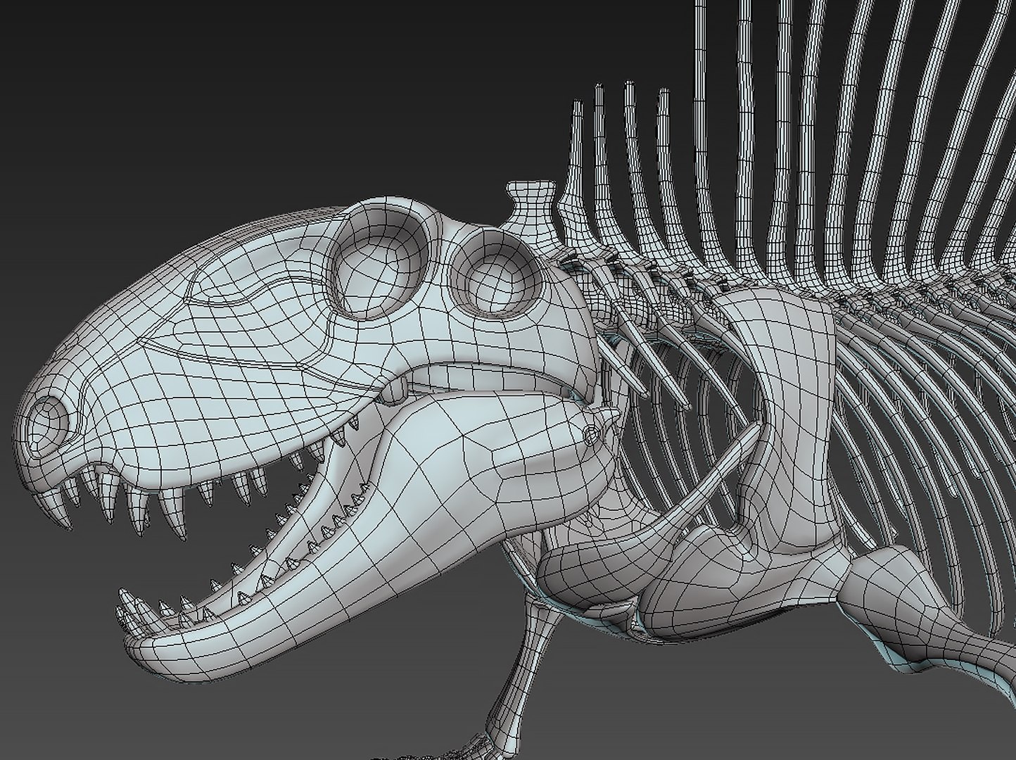 18 in1 dino skeleton model https://p.turbosquid.com/ts-thumb/6V/n9ziu7/Sz/m012/jpg/1739636205/1920x1080/fit_q87/04e3755587f8ecdc33e9d307e4df245b273d5fb4/m012.jpg