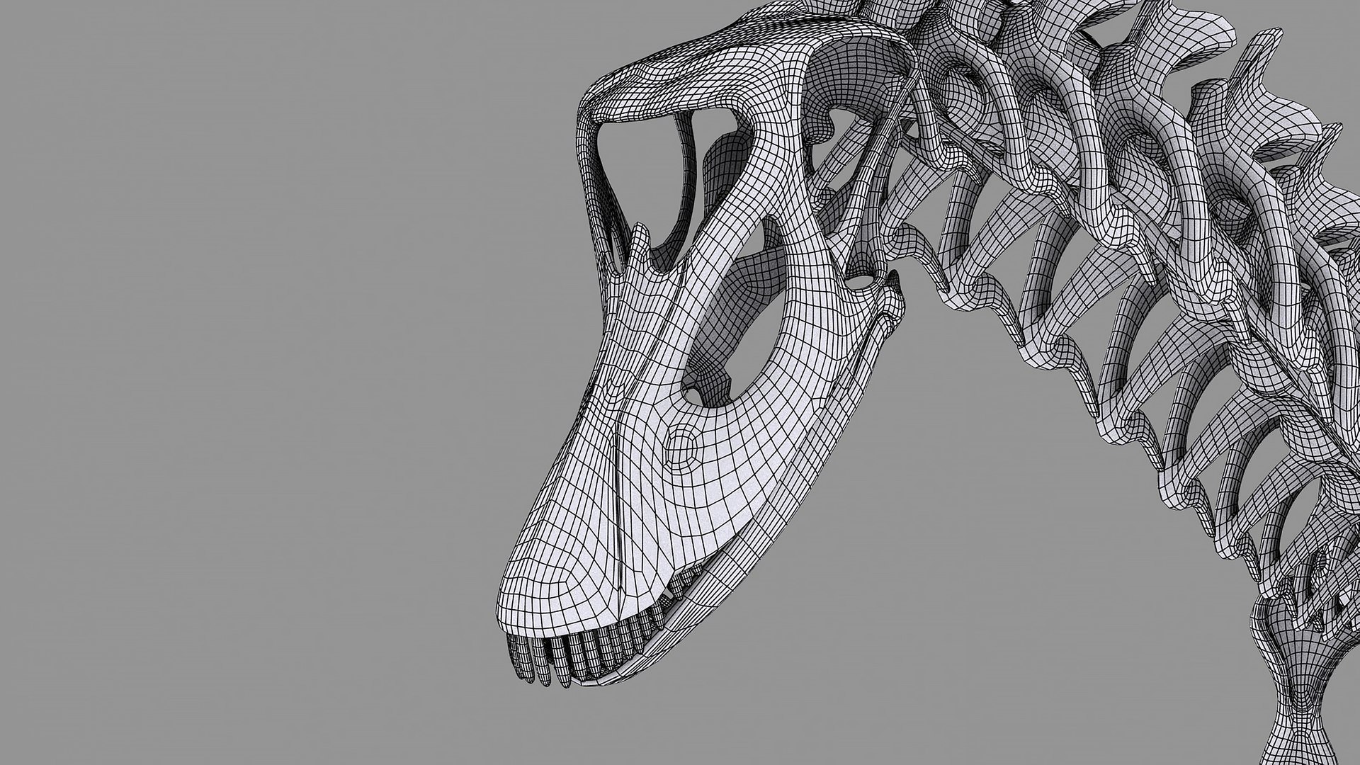 18 in1 dino skeleton model https://p.turbosquid.com/ts-thumb/6V/n9ziu7/UP/diplodocus13/jpg/1739636638/1920x1080/fit_q87/d1cfca92124d784468d9b10ca13b6d91f0c0b256/diplodocus13.jpg