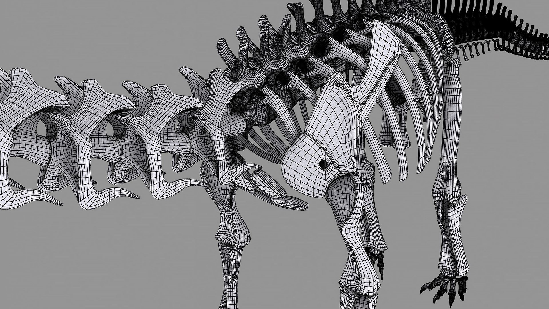 18 in1 dino skeleton model https://p.turbosquid.com/ts-thumb/6V/n9ziu7/UR/diplodocus11/jpg/1739636636/1920x1080/fit_q87/2206df605c47a27a075e8651110f2cfcca9b8a33/diplodocus11.jpg