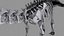 Collezione Dino scheletro 20 in1