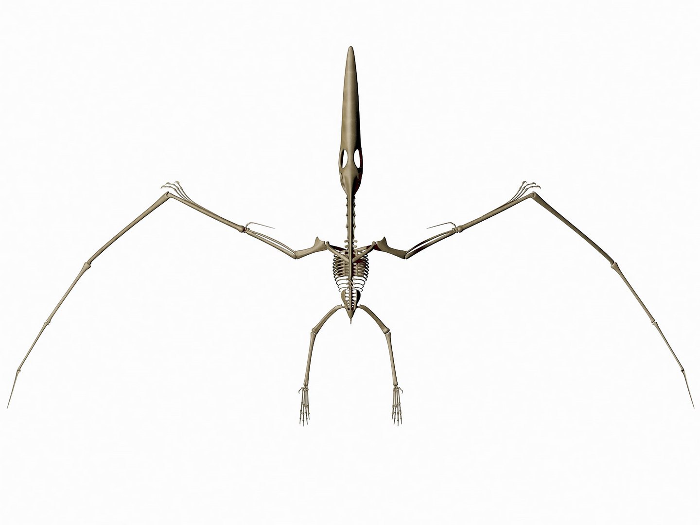 18 in1 dino skeleton model https://p.turbosquid.com/ts-thumb/6V/n9ziu7/Vj/r0210/jpg/1739636796/1920x1080/fit_q87/46868b539d1ad18664f439915c3994c5b63f93dd/r0210.jpg
