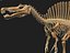 Collezione Dino scheletro 20 in1