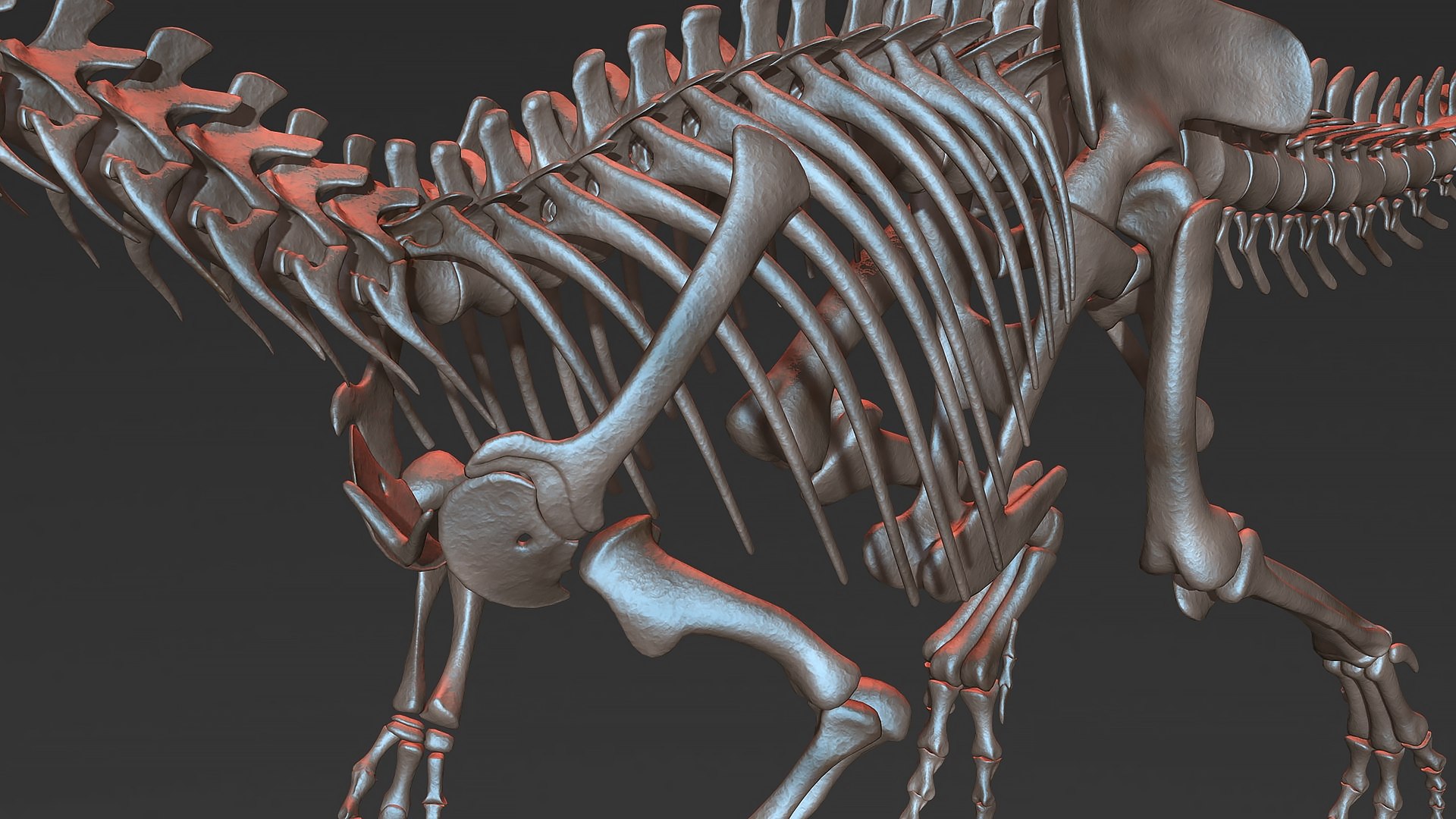 18 in1 dino skeleton model https://p.turbosquid.com/ts-thumb/6V/n9ziu7/an/r065/jpg/1739636483/1920x1080/fit_q87/0855860d7d56adae031ef545ea5878d1a7adb8a5/r065.jpg