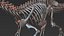 Collezione Dino scheletro 20 in1