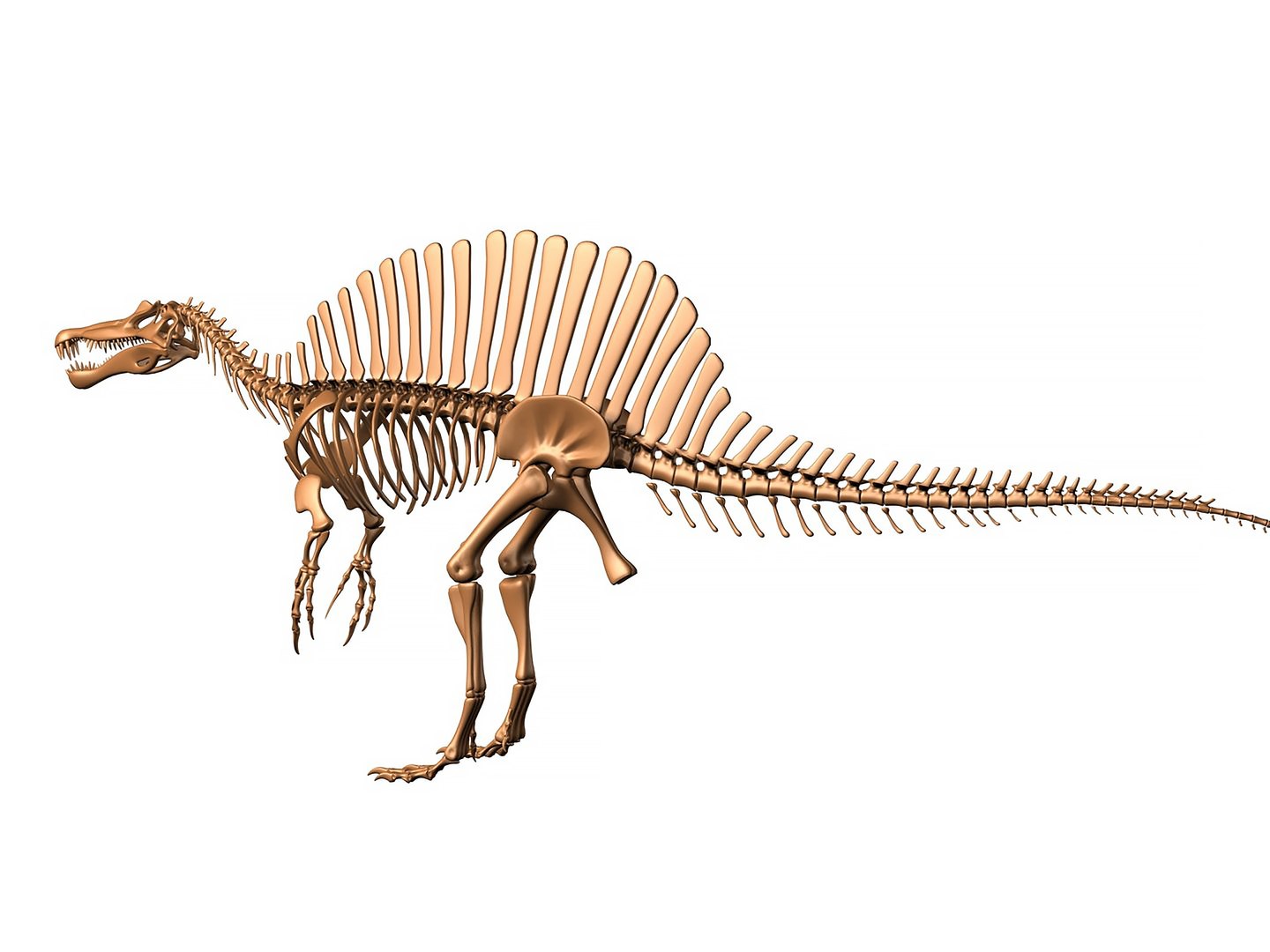 18 in1 dino skeleton model https://p.turbosquid.com/ts-thumb/6V/n9ziu7/fS/render05/jpg/1739636312/1920x1080/fit_q87/3539e57e7ddc1f2661d831597f49fb105f94c639/render05.jpg