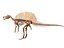 Collezione Dino scheletro 20 in1
