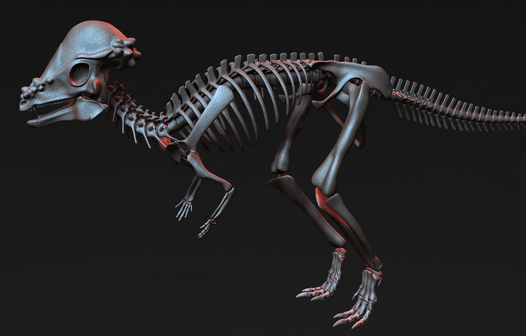 18 in1 dino skeleton model https://p.turbosquid.com/ts-thumb/6V/n9ziu7/h5/r0112/jpg/1739636950/1920x1080/fit_q87/96566daa3a74536865cdbc6492c40c637506e4a5/r0112.jpg