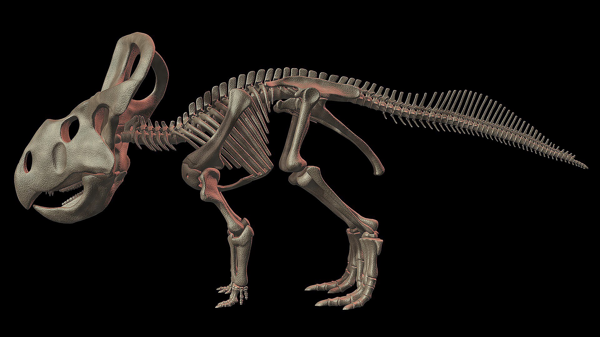 18 in1 dino skeleton model https://p.turbosquid.com/ts-thumb/6V/n9ziu7/h5/r0410/jpg/1739636828/1920x1080/fit_q87/6c152093edfd5ead18a653948776da68142a53c5/r0410.jpg