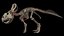 Collezione Dino scheletro 20 in1