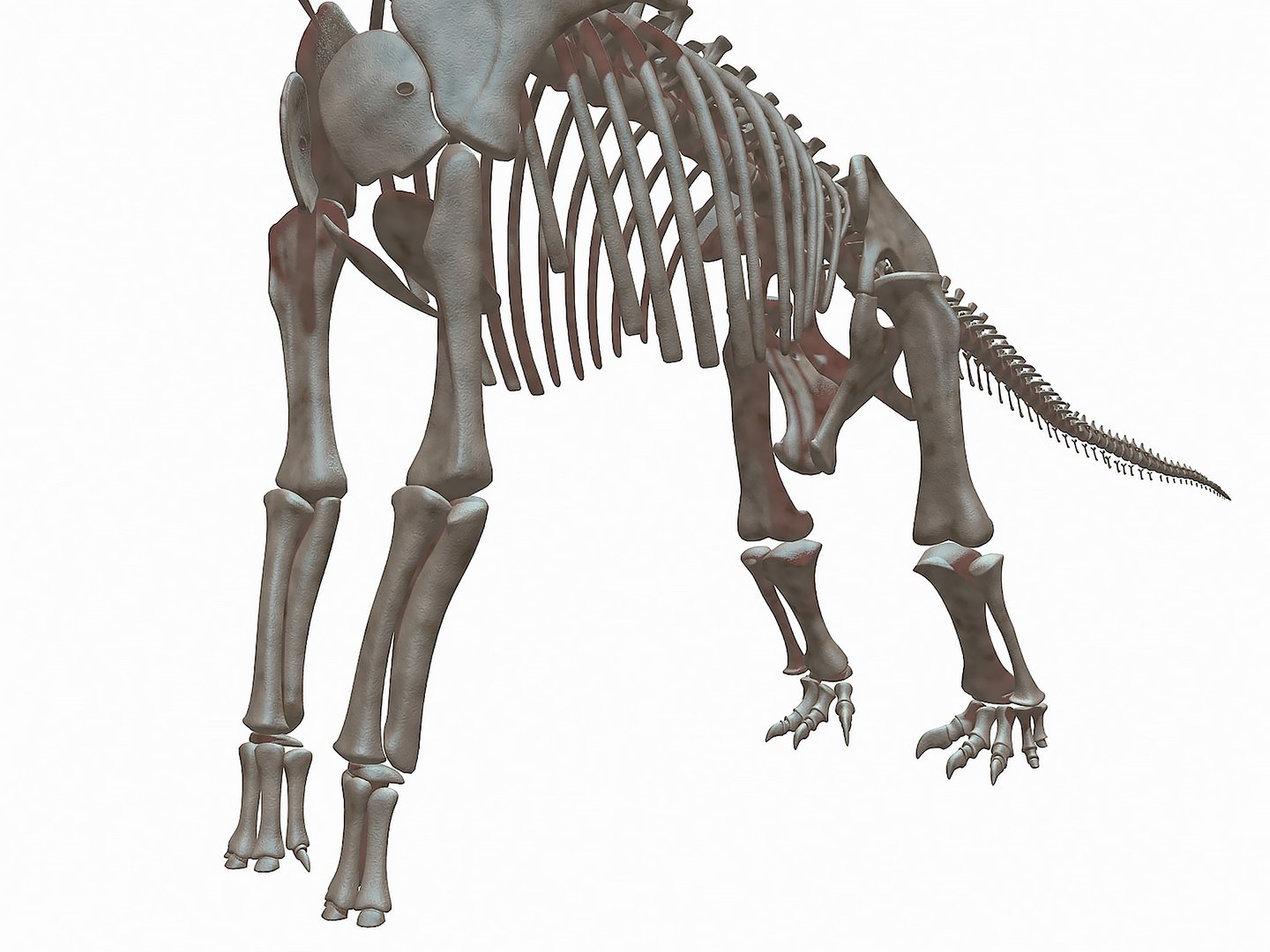 18 in1 dino skeleton model https://p.turbosquid.com/ts-thumb/6V/n9ziu7/hL/r063/jpg/1739636254/1920x1080/fit_q87/1f1df3f8b8947dc4ea4609d5034c7aa408920648/r063.jpg
