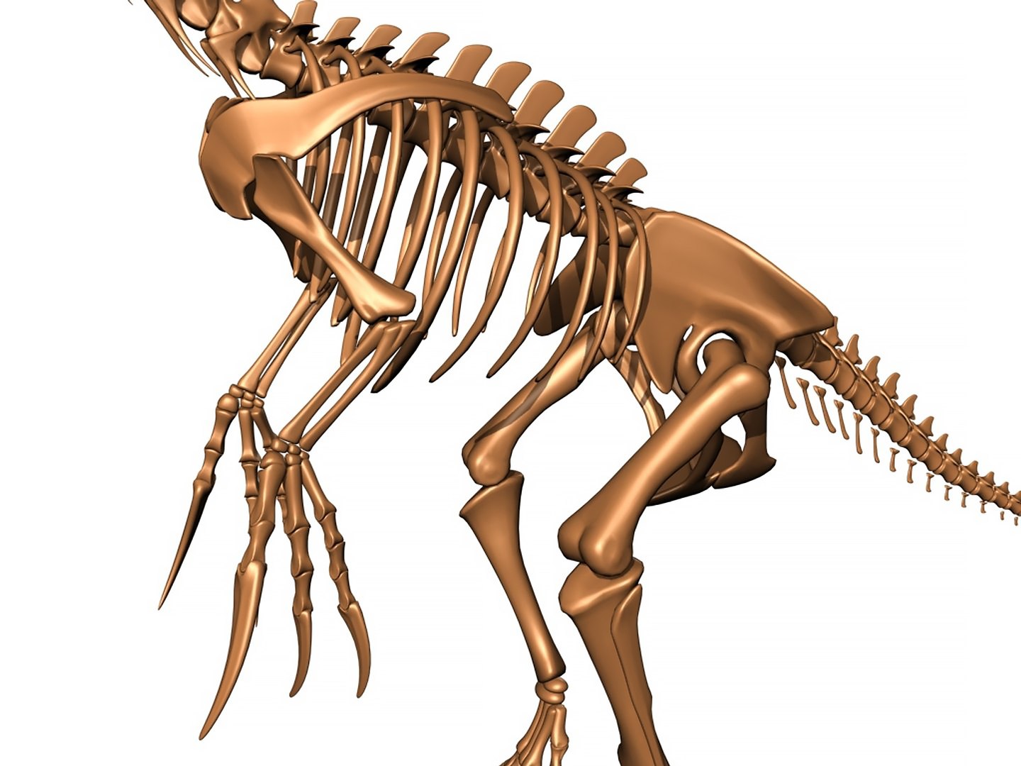18 in1 dino skeleton model https://p.turbosquid.com/ts-thumb/6V/n9ziu7/if/02/jpg/1739635979/1920x1080/fit_q87/ebe36436e919def05735b6c91cf5928b0960df6f/02.jpg