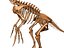 Collezione Dino scheletro 20 in1