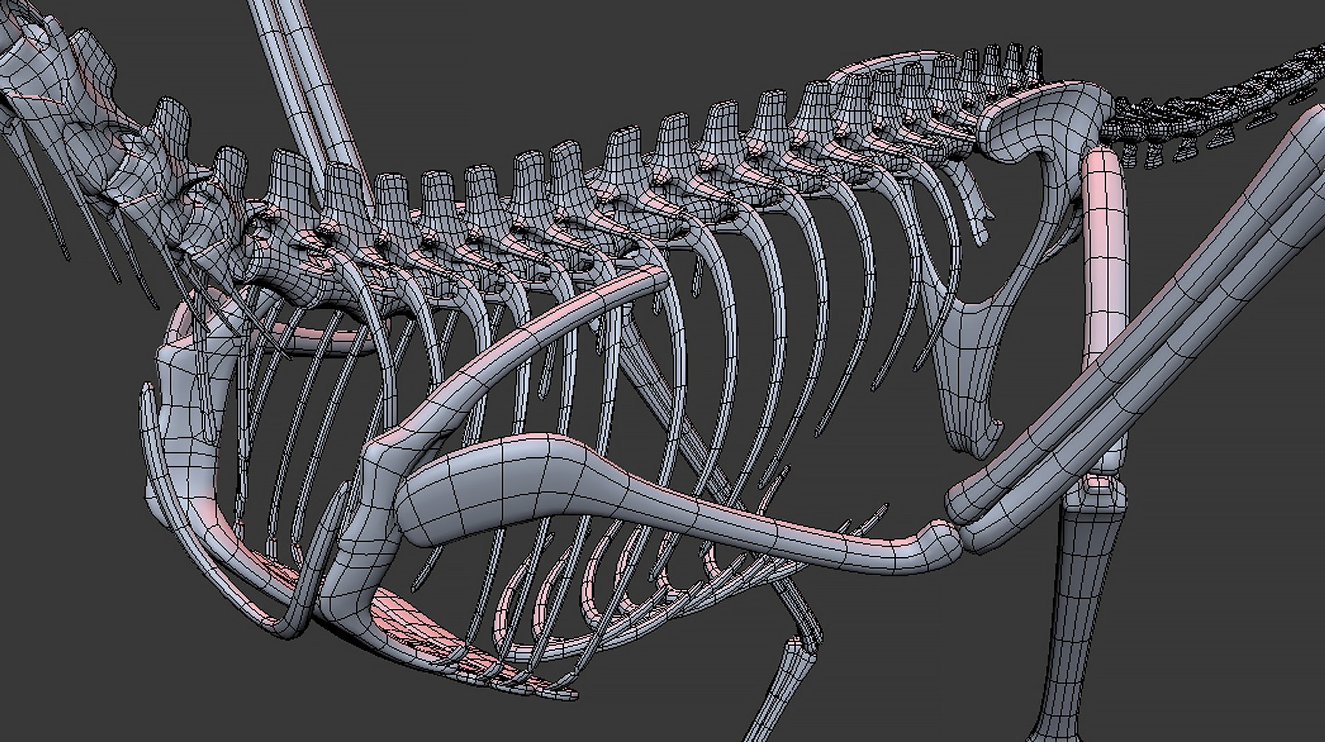 18 in1 dino skeleton model https://p.turbosquid.com/ts-thumb/6V/n9ziu7/m7/m014/jpg/1739636346/1920x1080/fit_q87/c0637f5d24bfab9047d46763fcb1170fb362393d/m014.jpg