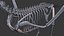 Collezione Dino scheletro 20 in1