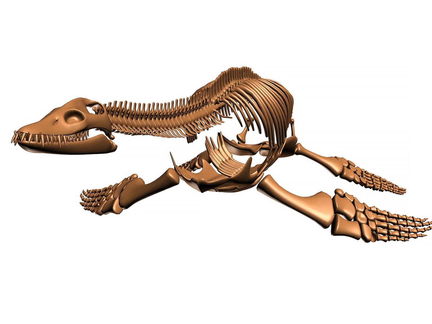 18 in1 dino skeleton model https://p.turbosquid.com/ts-thumb/6V/n9ziu7/m9/render09/jpg/1739636702/1920x1080/fit_q87/a9757b4e05a16d510b0df622d9c113cf1c71031e/render09.jpg