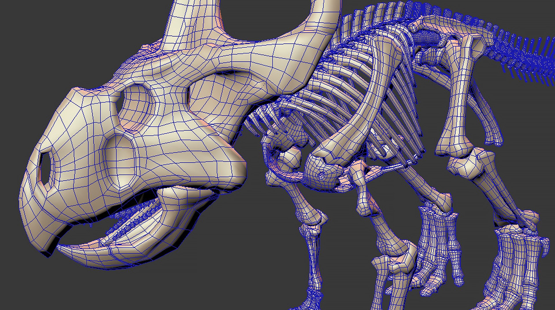 18 in1 dino skeleton model https://p.turbosquid.com/ts-thumb/6V/n9ziu7/ni/r0510/jpg/1739636829/1920x1080/fit_q87/015b979349cf88e1f2aa2b439f842bd584d09043/r0510.jpg
