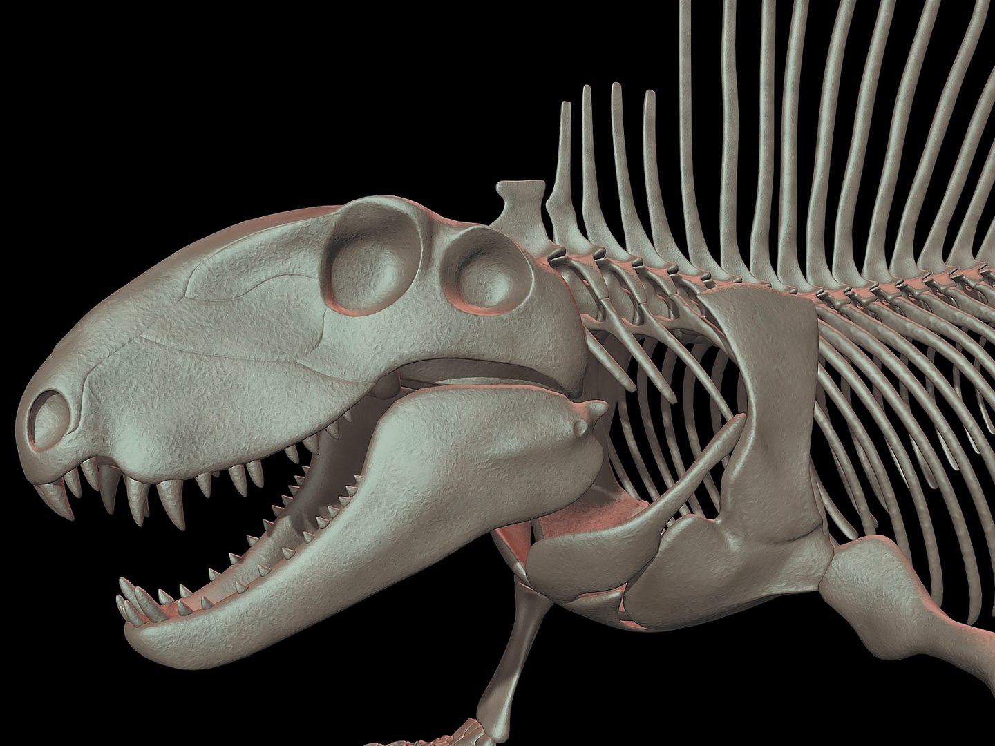 18 in1 dino skeleton model https://p.turbosquid.com/ts-thumb/6V/n9ziu7/o6/r053/jpg/1739636207/1920x1080/fit_q87/650f4bd1e4d2ce24986cbb2ecfb6c4758f4f2371/r053.jpg