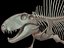 Collezione Dino scheletro 20 in1