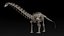 Collezione Dino scheletro 20 in1