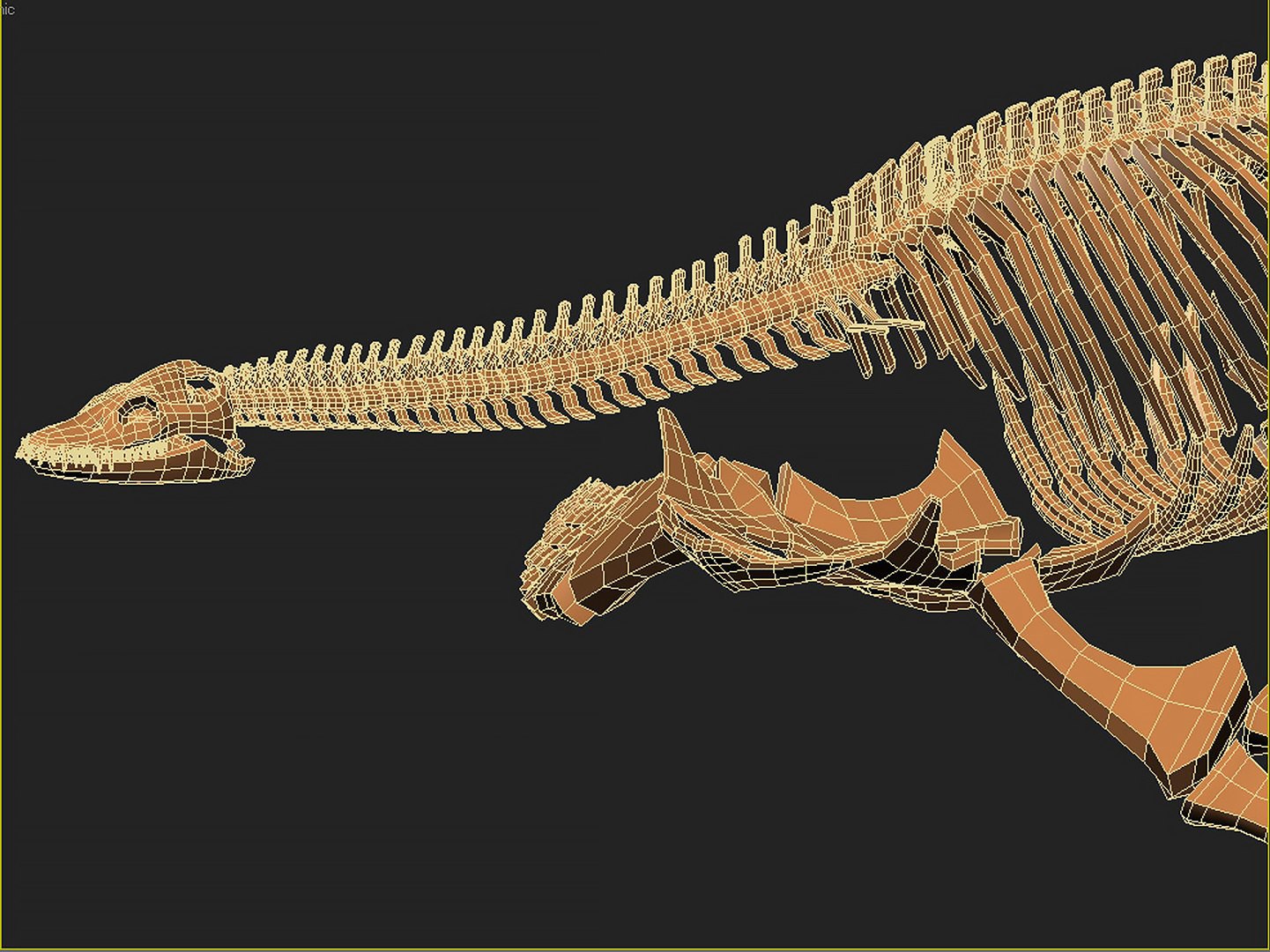 18 in1 dino skeleton model https://p.turbosquid.com/ts-thumb/6V/n9ziu7/qg/render08/jpg/1739636701/1920x1080/fit_q87/82343f7f244f952c60f4a6253767f173274d2690/render08.jpg