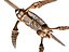 Collezione Dino scheletro 20 in1