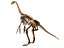 Collezione Dino scheletro 20 in1