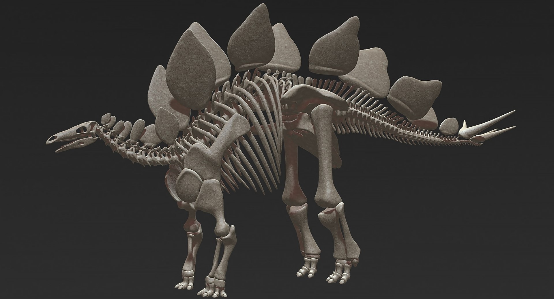 18 in1 dino skeleton model https://p.turbosquid.com/ts-thumb/6V/n9ziu7/tx/r011/jpg/1739636001/1920x1080/fit_q87/24a9b7dccad9246b93be156213953c19f2e58930/r011.jpg