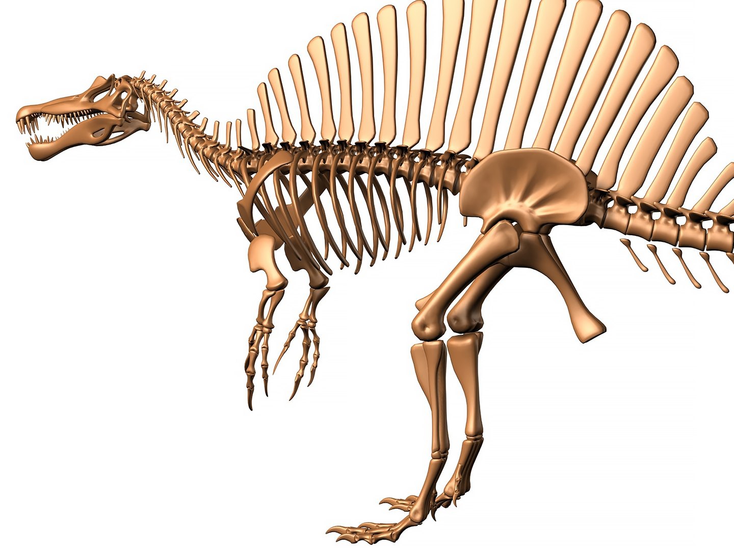 18 in1 dino skeleton model https://p.turbosquid.com/ts-thumb/6V/n9ziu7/ve/render022/jpg/1739636310/1920x1080/fit_q87/dc26342dd81ad7c77e0b9c99753e3b638ffa7c21/render022.jpg