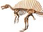 Collezione Dino scheletro 20 in1
