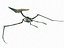 Collezione Dino scheletro 20 in1