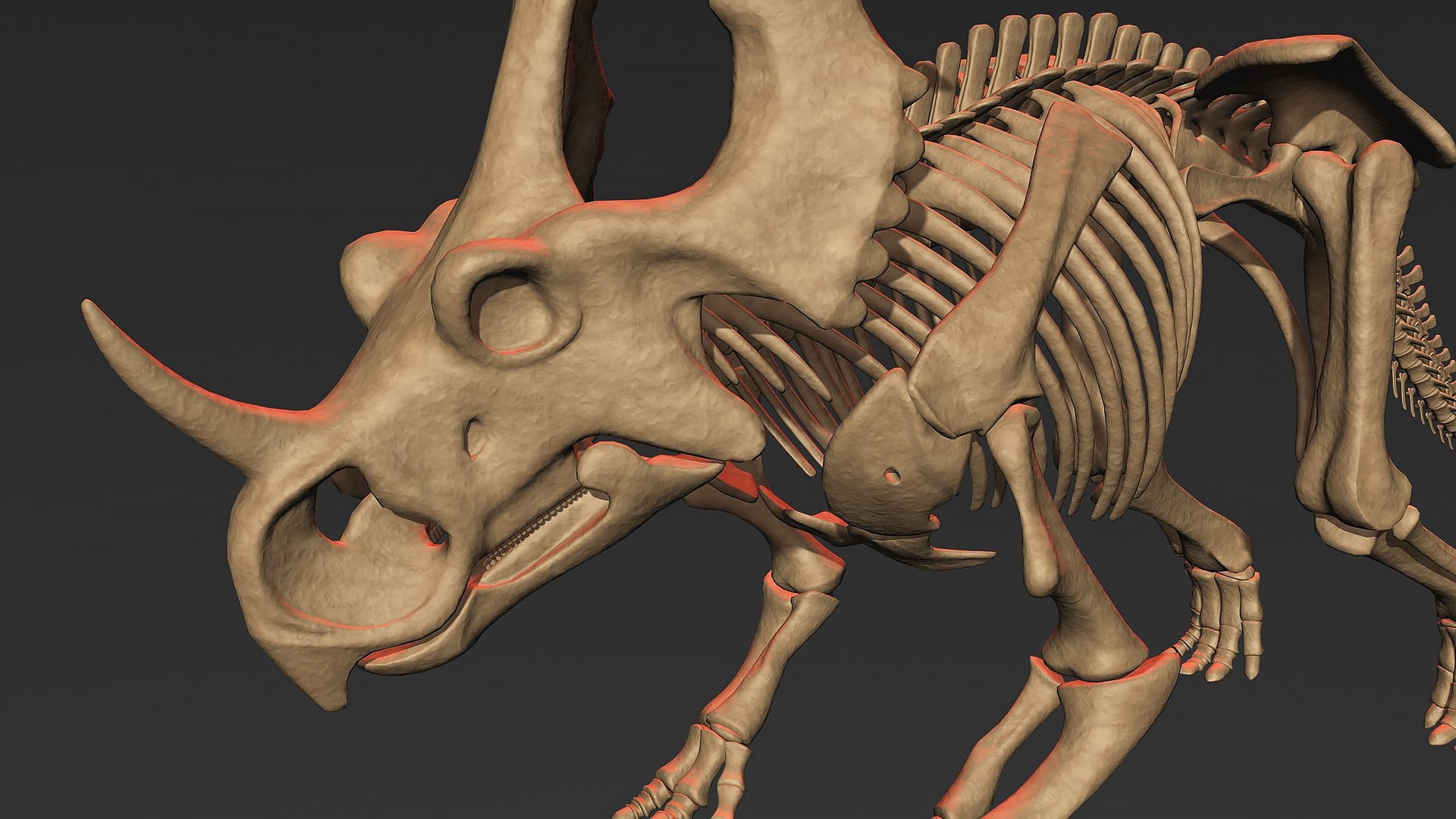 18 in1 dino skeleton model https://p.turbosquid.com/ts-thumb/6V/n9ziu7/xI/r049/jpg/1739636526/1920x1080/fit_q87/af10a5b589aa87486be1718c940bfe1111dff728/r049.jpg
