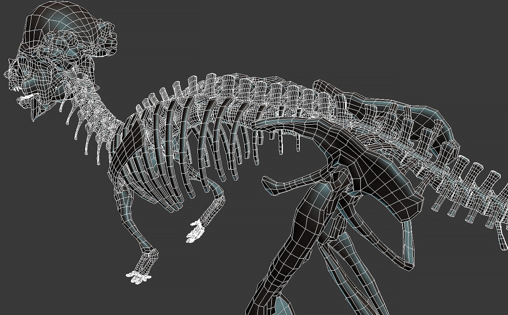 18 in1 dino skeleton model https://p.turbosquid.com/ts-thumb/6V/n9ziu7/xr/m018/jpg/1739636950/1920x1080/fit_q87/fd64f2ec953e5b47a883047f9105bf876a433ad0/m018.jpg