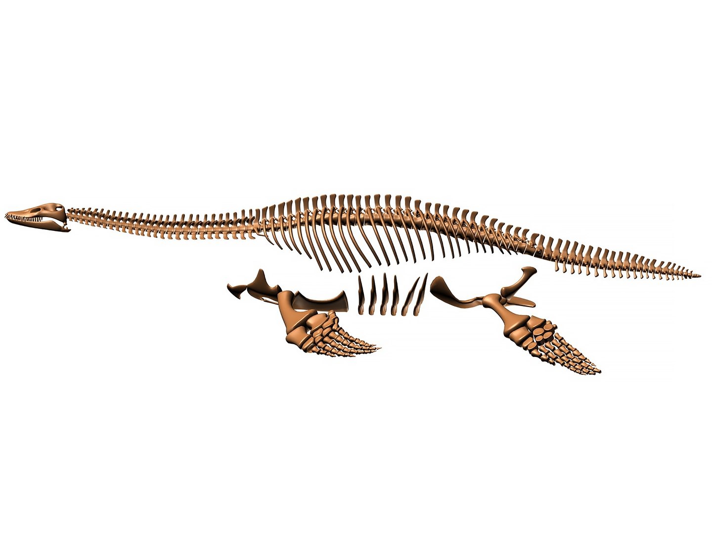 18 in1 dino skeleton model https://p.turbosquid.com/ts-thumb/6V/n9ziu7/xr/render061/jpg/1739636700/1920x1080/fit_q87/4d61157762da6f381d38802ca215541534752de5/render061.jpg