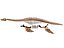 Collezione Dino scheletro 20 in1
