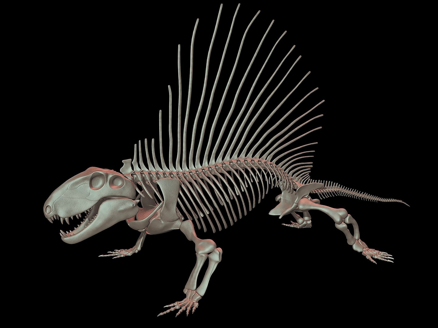 18 in1 dino skeleton model https://p.turbosquid.com/ts-thumb/6V/n9ziu7/zk/r013/jpg/1739636205/1920x1080/fit_q87/280fff43391b14ea9dbac45d56c0c147b8708938/r013.jpg