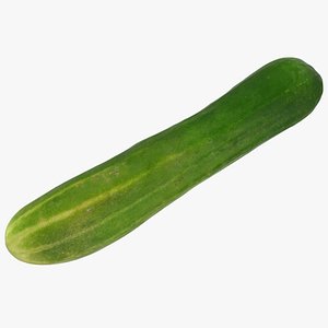 small cucumber 3D